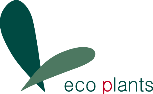 eco plants